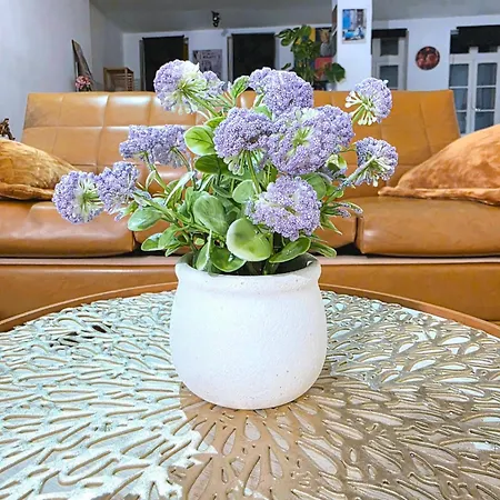 Appartement Le Cosy Perpi 90m2 En Hyper Centre