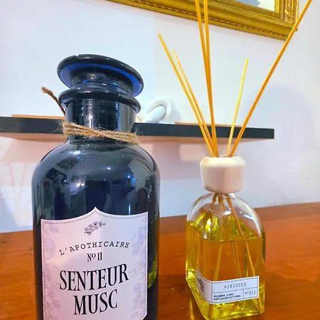 Le Cosy Perpi 90m2 En Hyper Centre Appartement