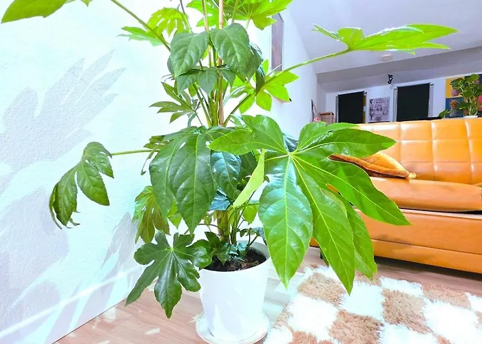 Apartment Le Cosy Perpi 90m2 En Hyper Centre