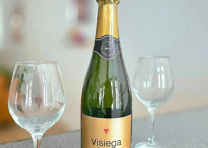 Le Cosy Perpi 90m2 En Hyper Centre Apartman *