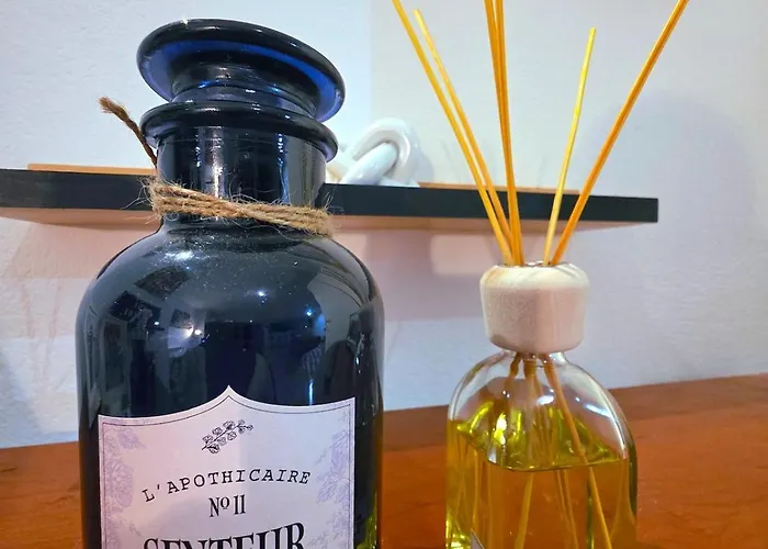 Le Cosy Perpi 90m2 En Hyper Centre Perpignan